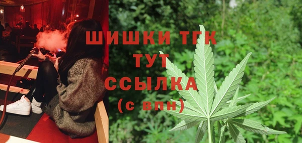ECSTASY Белокуриха
