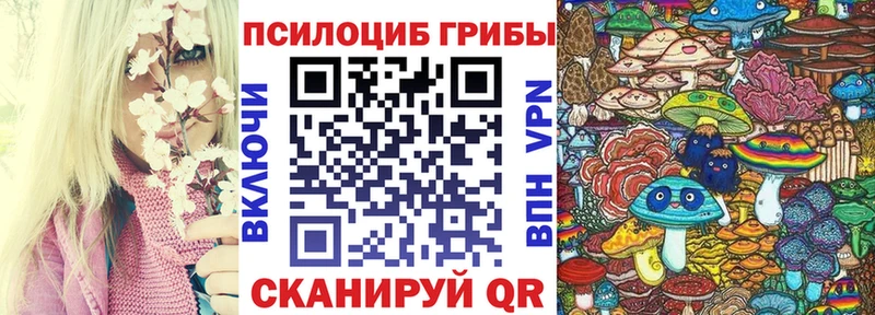 площадка Telegram  где купить наркотик  Катайск  Псилоцибиновые грибы GOLDEN TEACHER 